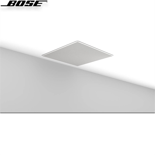 Loa Bose EdgeMax EM90 13